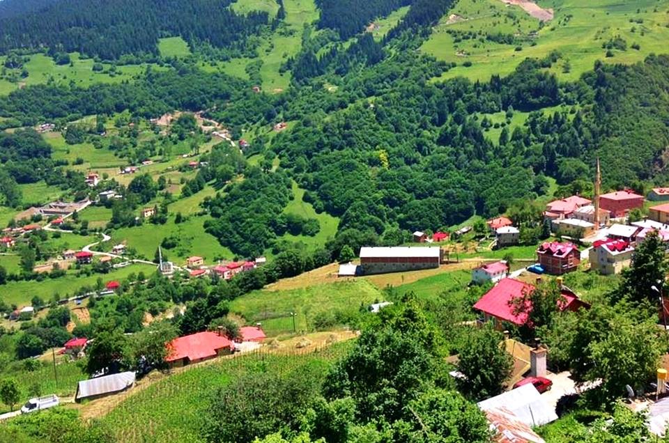 Hamsiköy (Maçka)